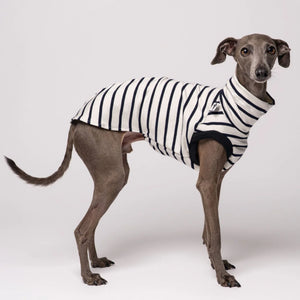 KARMA HUND - COTTON SHIRT für Italienisches Windspiel