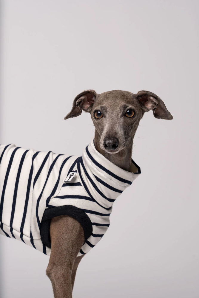 KARMA HUND - COTTON SHIRT für Italienisches Windspiel