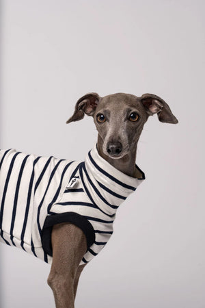 KARMA HUND - COTTON SHIRT für Italienisches Windspiel