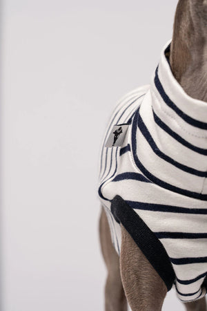 KARMA HUND - COTTON SHIRT für Italienisches Windspiel