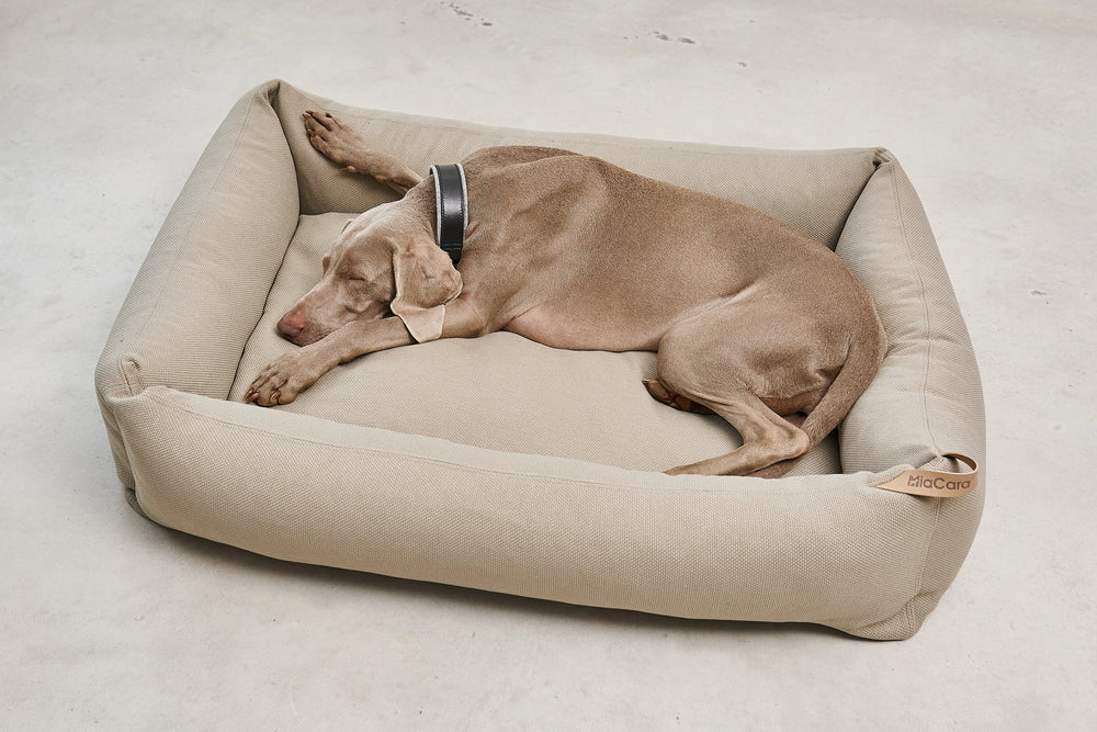 Dog beds  Strauchdieb