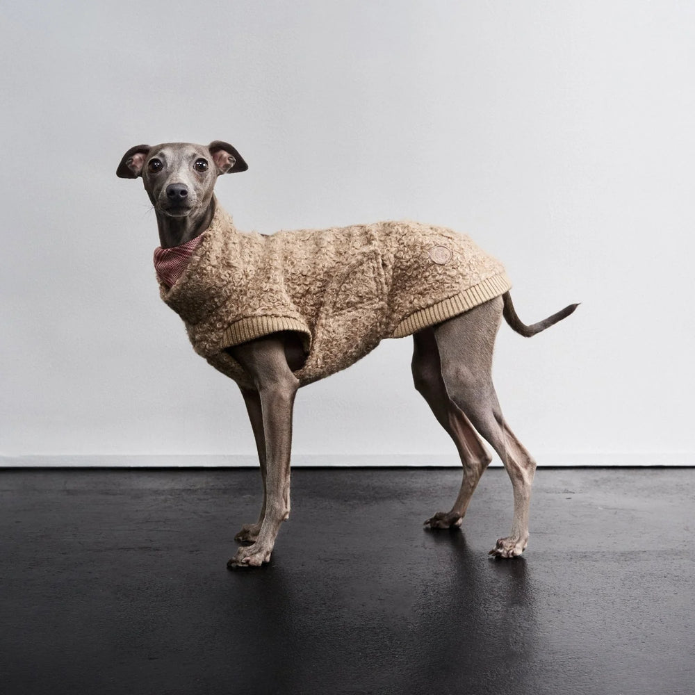 Cloud7 - Hundepullover Gotland Sandy Brown