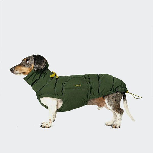 Cloud7 - Hundemantel Dackel Alaska Olive