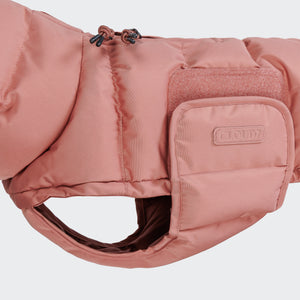 Cloud7 - Hundemantel Dackel Alaska Faded Rose