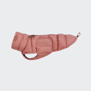 Cloud7 - Hundemantel Dackel Alaska Faded Rose
