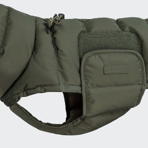 Cloud7 - Hundemantel Dackel Alaska Light Olive