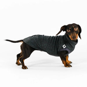 KARMA HUND - Longshirt für Dackel Anthrazit