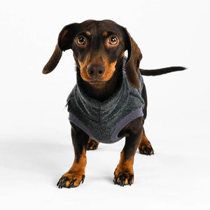 KARMA HUND - Longshirt für Dackel Anthrazit