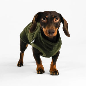 KARMA HUND - Longshirt für Dackel Olive