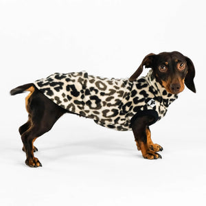 KARMA HUND - Longshirt für Dackel Leo