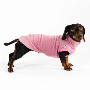KARMA HUND - Longshirt für Dackel Mulberry