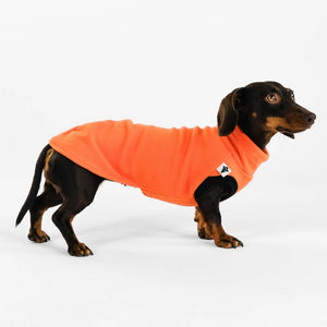 KARMA HUND - Longshirt für Dackel Orange