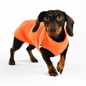 KARMA HUND - Longshirt für Dackel Orange