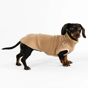 KARMA HUND - TEDDY SHIRT für Dackel Camel