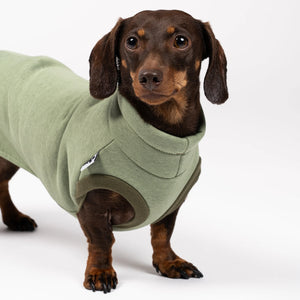KARMA HUND - SWEAT SHIRT für Dackel Matcha