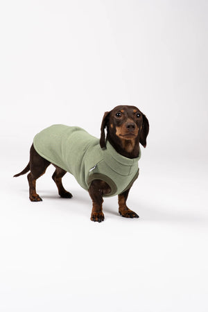KARMA HUND - SWEAT SHIRT für Dackel Matcha