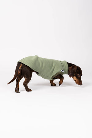 KARMA HUND - SWEAT SHIRT für Dackel Matcha