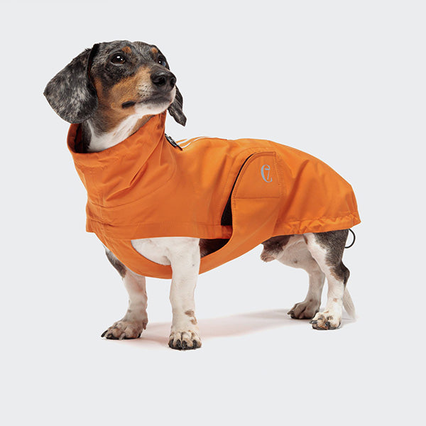 
            
                Laden Sie das Bild in den Galerie-Viewer, Cloud7 - Hunderegenmantel Dackel Dublin Orange
            
        