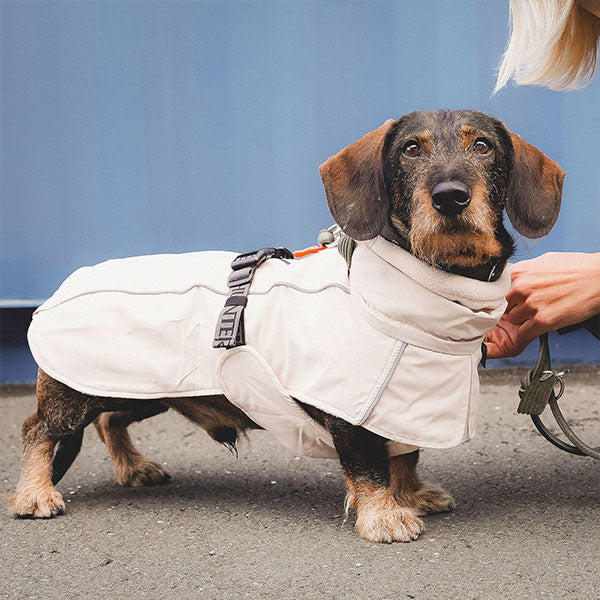 Hunter - Hundemantel Nordby Dachshund Creme