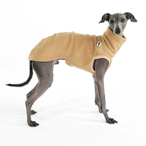 KARMA HUND - LONG SHIRT für Italienisches Windspiel Camel
