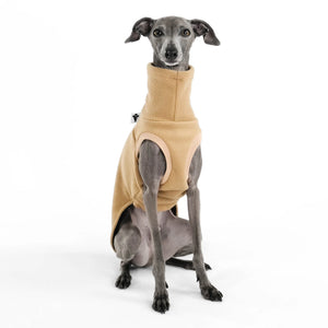 KARMA HUND - LONG SHIRT für Italienisches Windspiel Camel