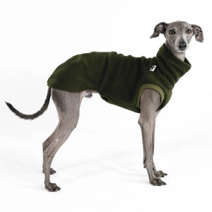 KARMA HUND - LONG SHIRT für Italienisches Windspiel Olive