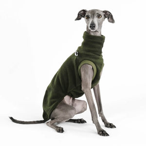 KARMA HUND - LONG SHIRT für Italienisches Windspiel Olive