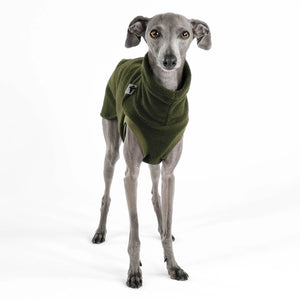 KARMA HUND - LONG SHIRT für Italienisches Windspiel Olive