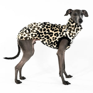KARMA HUND - LONG SHIRT für Italienisches Windspiel Leo
