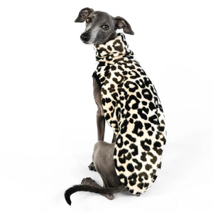 KARMA HUND - LONG SHIRT für Italienisches Windspiel Leo