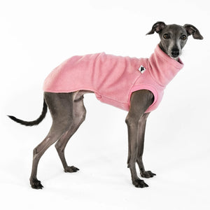 KARMA HUND - LONG SHIRT für Italienisches Windspiel Mulberry