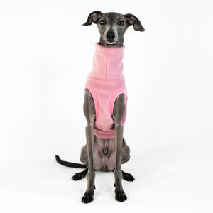 KARMA HUND - LONG SHIRT für Italienisches Windspiel Mulberry