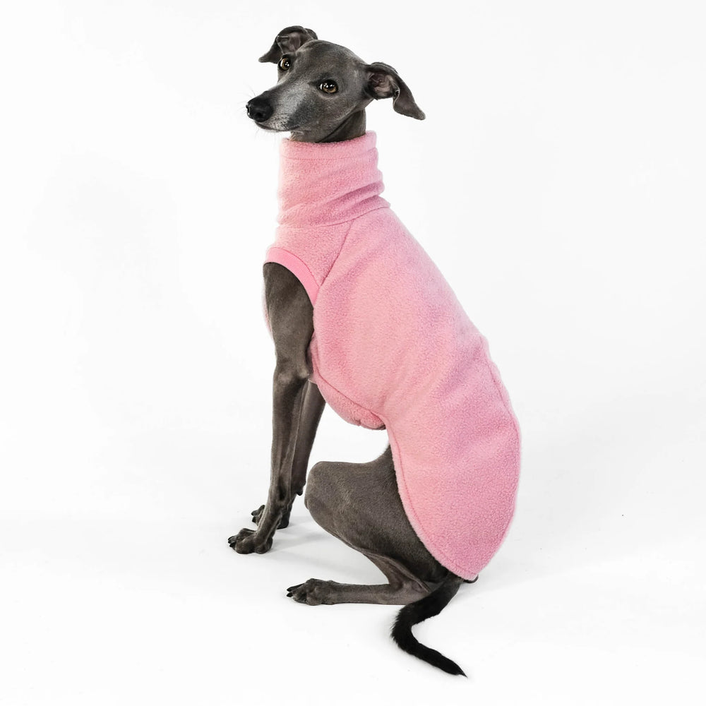 KARMA HUND - LONG SHIRT für Italienisches Windspiel Mulberry