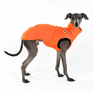 KARMA HUND - LONG SHIRT für Italienisches Windspiel Orange