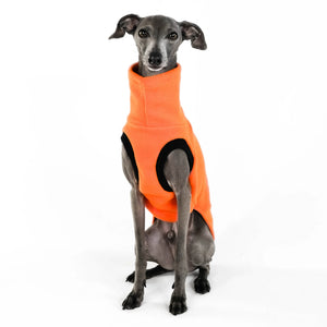 KARMA HUND - LONG SHIRT für Italienisches Windspiel Orange