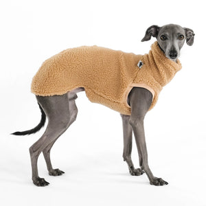 KARMA HUND - TEDDY SHIRT für Italienisches Windspiel Camel
