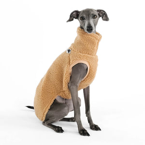 KARMA HUND - TEDDY SHIRT für Italienisches Windspiel Camel