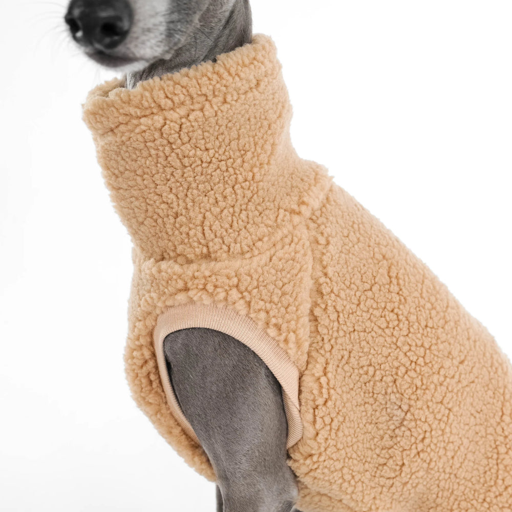 KARMA HUND - TEDDY SHIRT für Italienisches Windspiel Camel