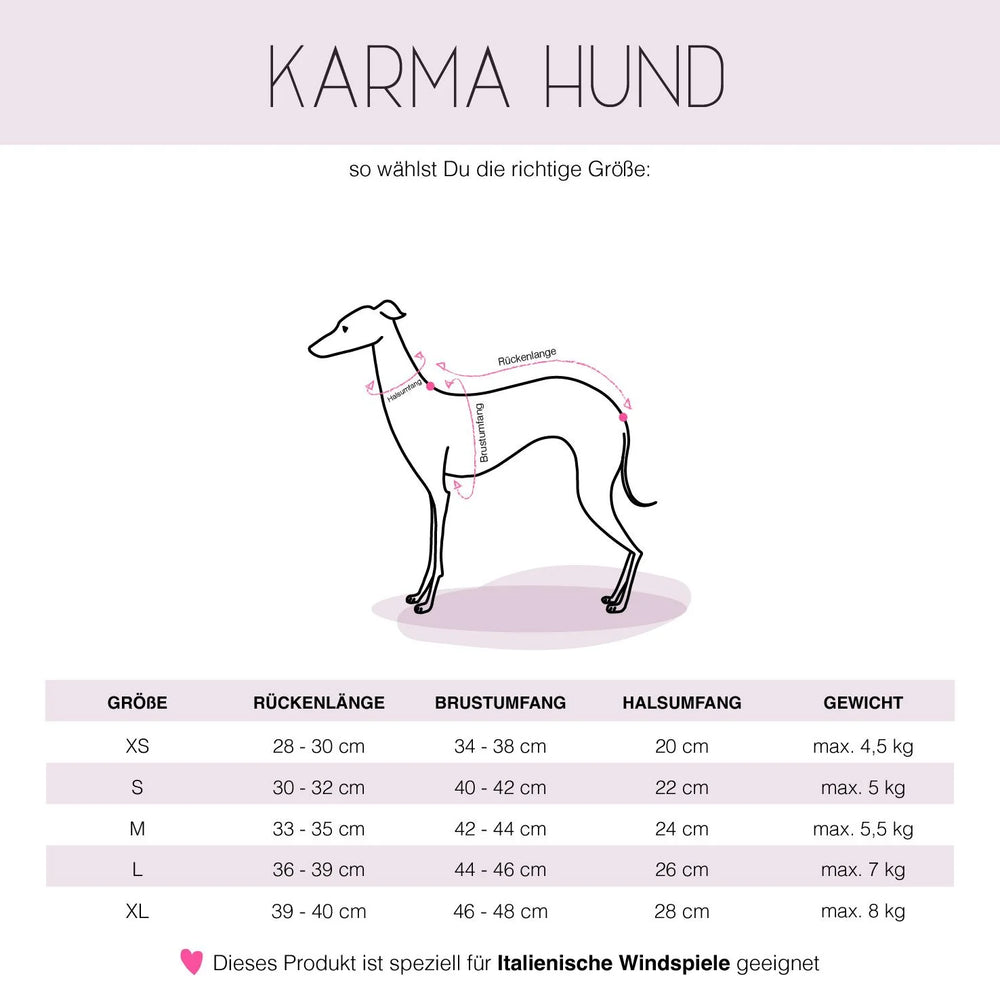 KARMA HUND - LONG SHIRT für Italienisches Windspiel Orange
