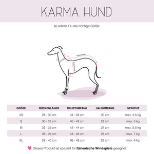 KARMA HUND - LONG SHIRT für Italienisches Windspiel Orange