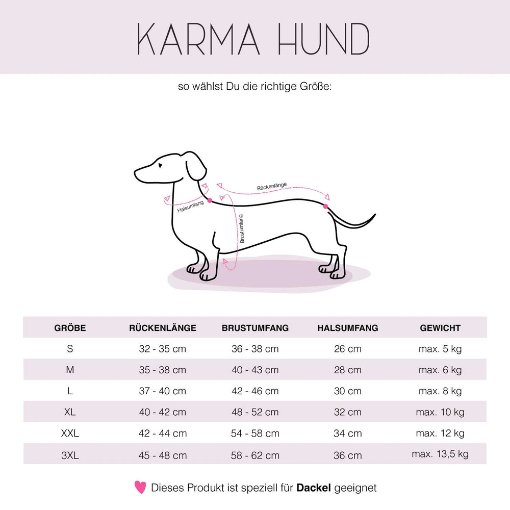 KARMA HUND - Longshirt für Dackel Camel