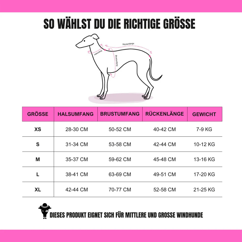 KARMA HUND - LONG SHIRT für Windhunde Camel