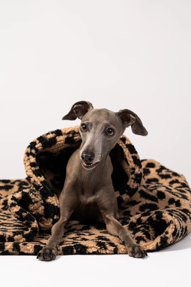 Karma Hund - Teddy Hundeschlafsack Leo