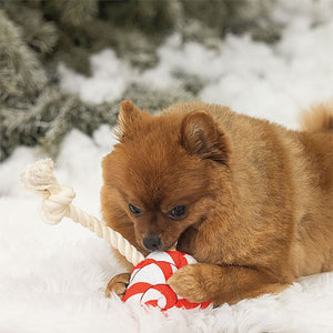 beeztees - Weihnachts Lolly