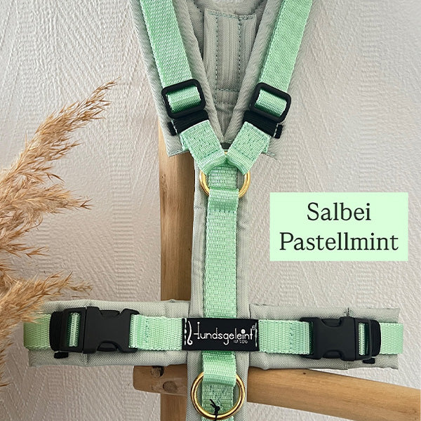 Hundsgeleint - Y Geschirr Salbei