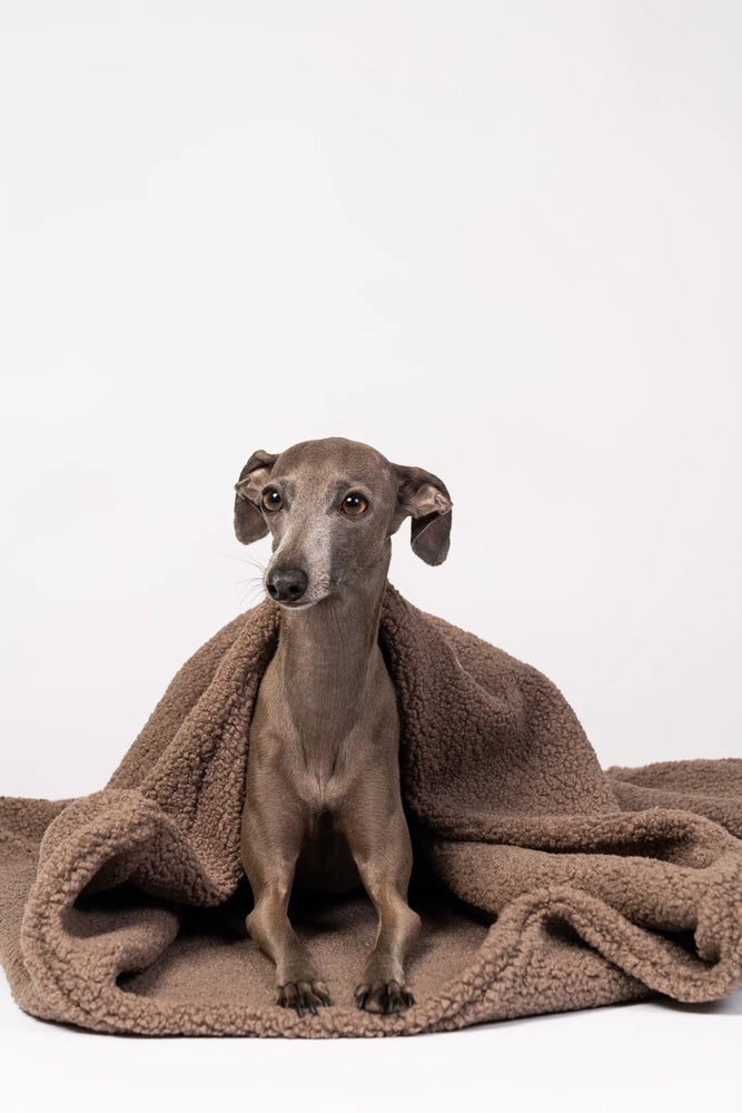 Karma Hund - Teddy Hundeschlafsack Mokka