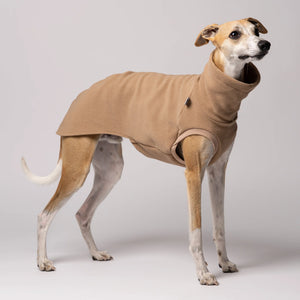 KARMA HUND - LONG SHIRT für Windhunde Camel
