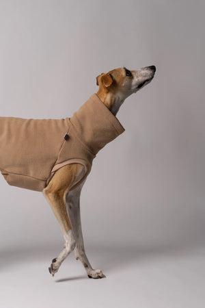 KARMA HUND - LONG SHIRT für Windhunde Camel
