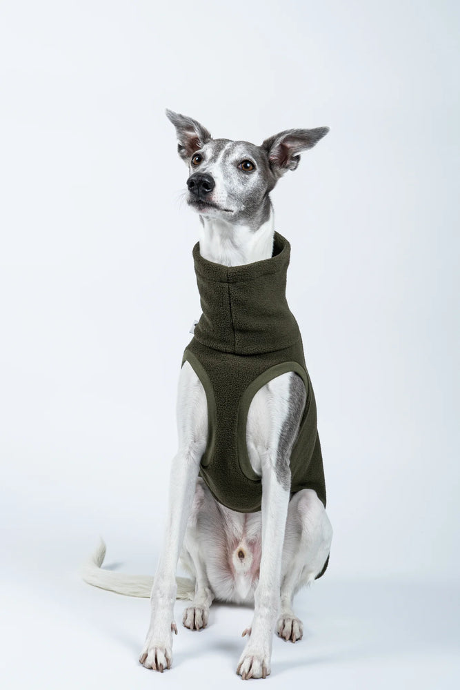 KARMA HUND - LONG SHIRT für Windhunde Olive