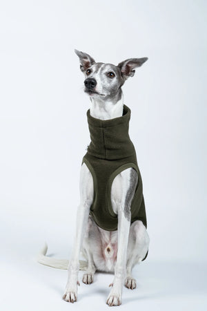 KARMA HUND - LONG SHIRT für Windhunde Olive